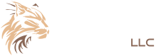 IT Lynx LLC Rev 03-01
